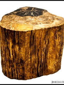 PW-109_Tree Trunk side Table